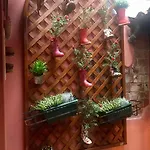 Valentina's *