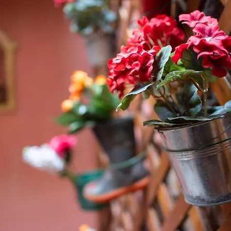 Valentina's Appartement